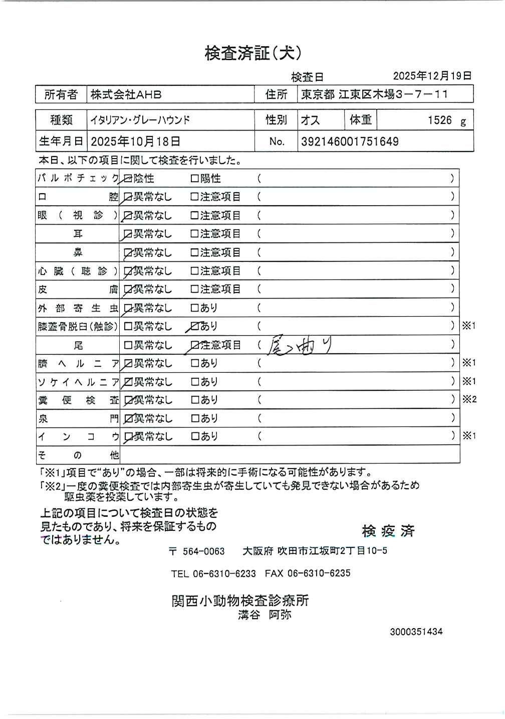 イタリアン・グレーハウンド