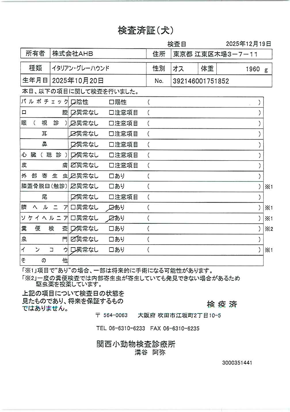 イタリアン・グレーハウンド
