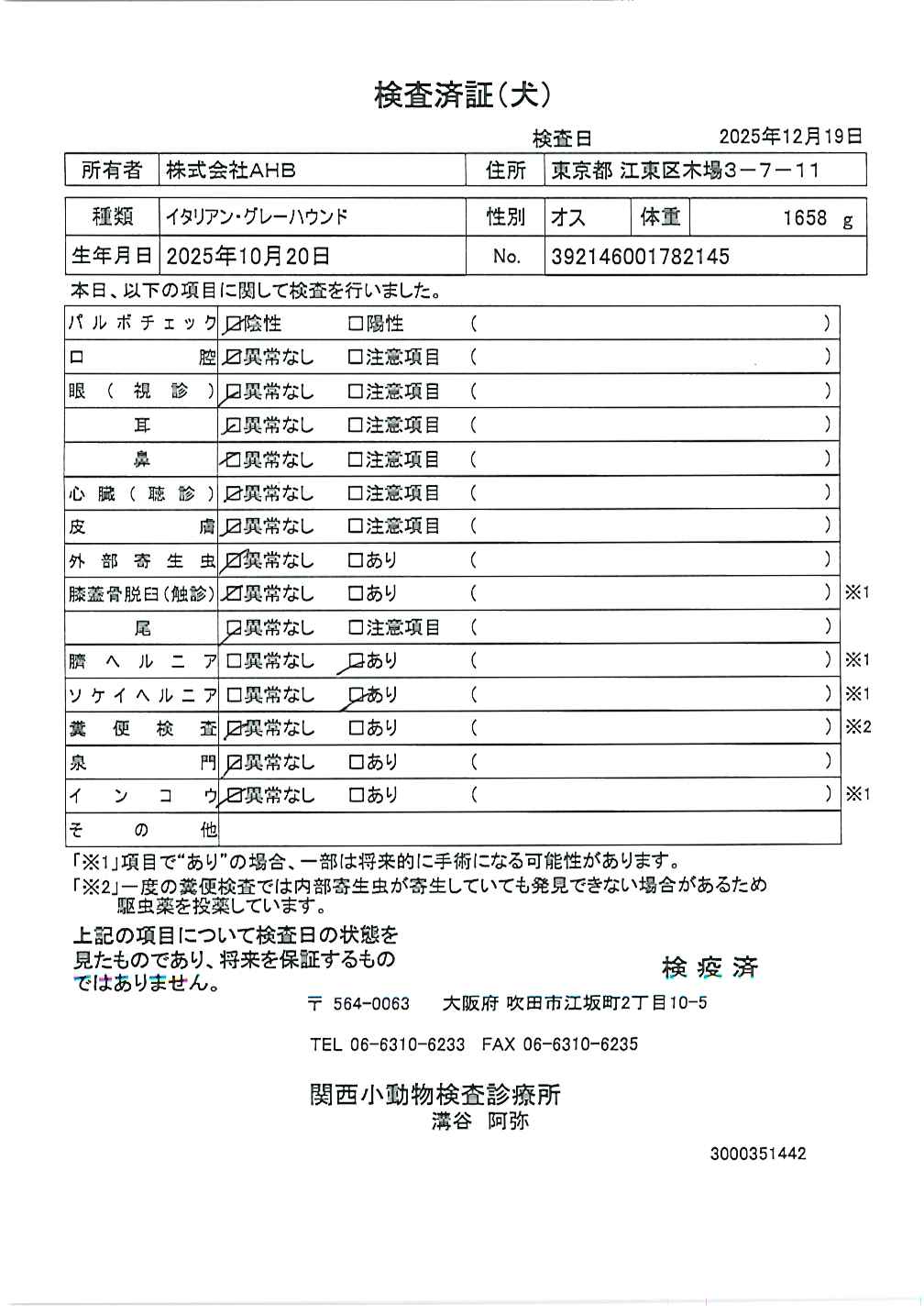 イタリアン・グレーハウンド