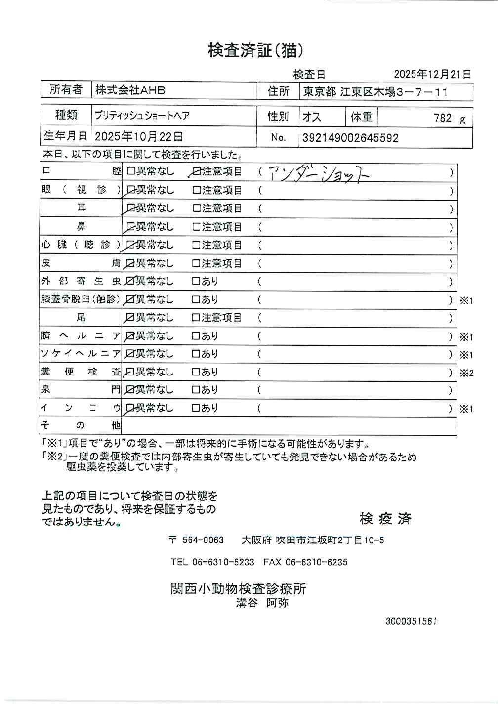 ブリティッシュショートヘア