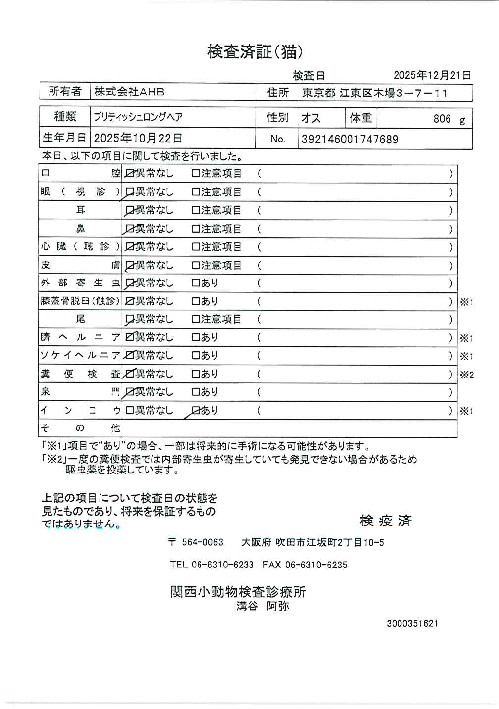 ブリティッシュロングヘア