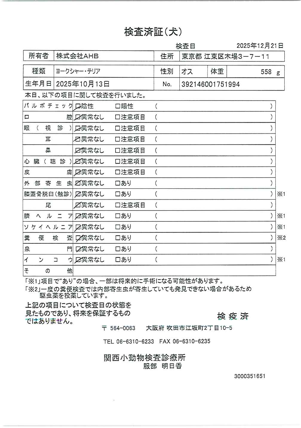 ヨークシャー・テリア