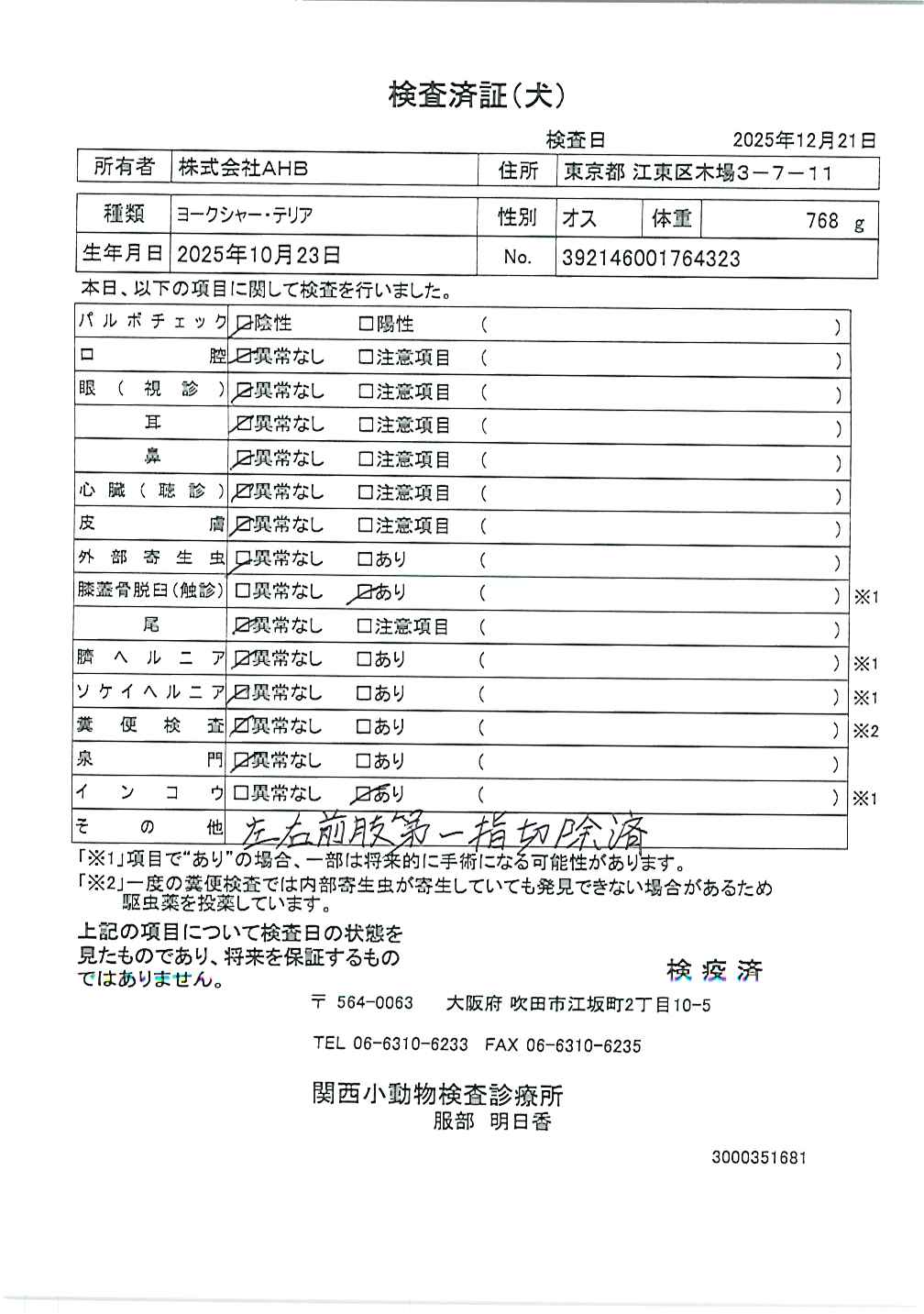 ヨークシャー・テリア