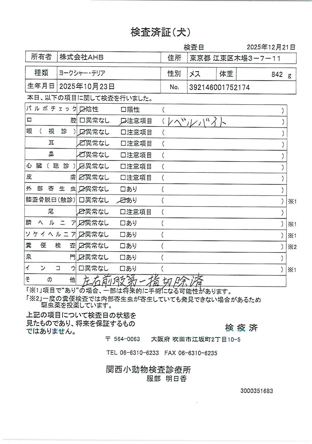 ヨークシャー・テリア