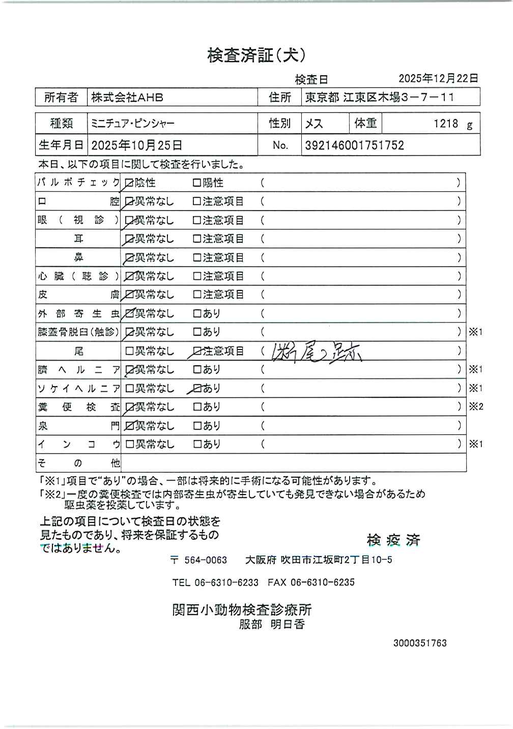 ミニチュア・ピンシャー