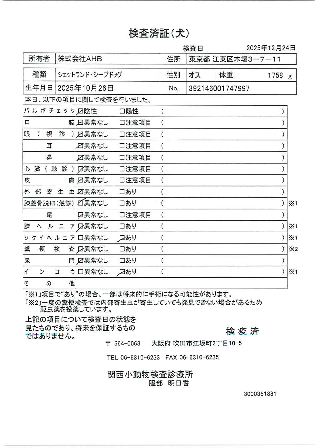 シェットランド・シープドッグ