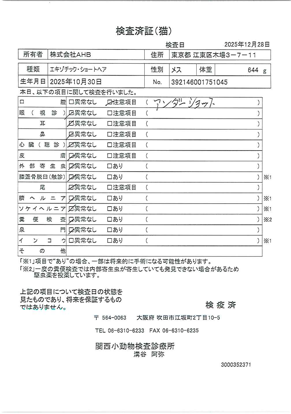 エキゾチック・ショートヘア