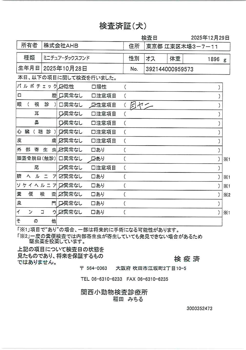 ミニチュア・ダックスフンド