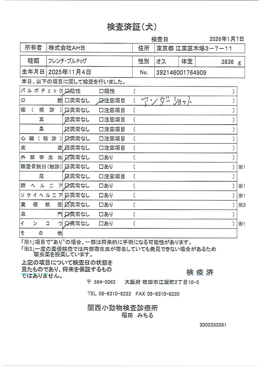 フレンチ・ブルドッグ