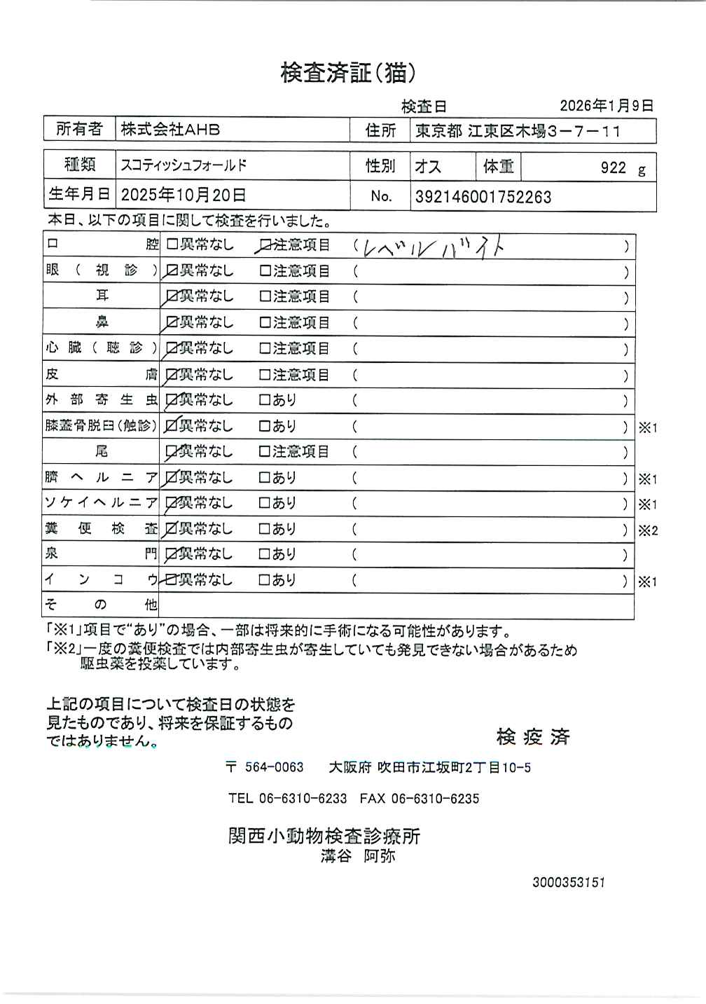 スコティッシュフォールド