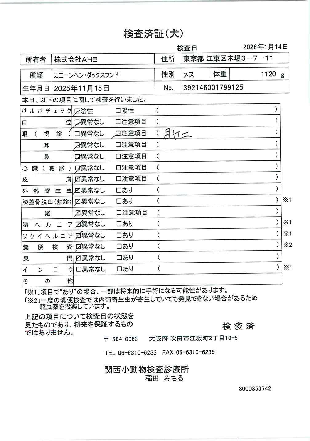 カニーンヘン・ダックスフンド