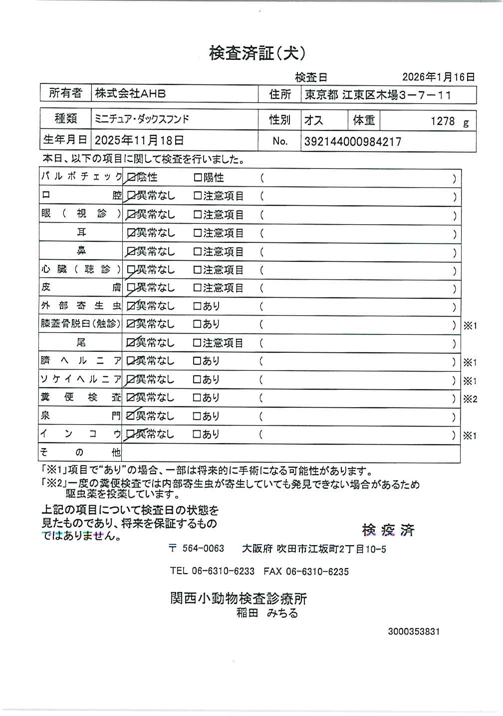 ミニチュア・ダックスフンド