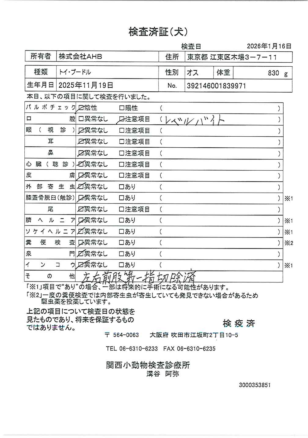 トイ・プードル