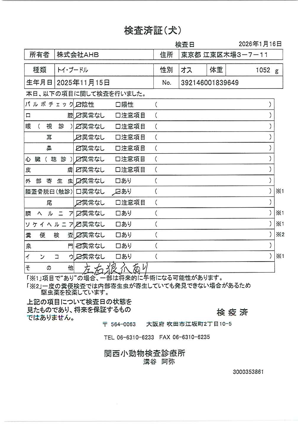 トイ・プードル