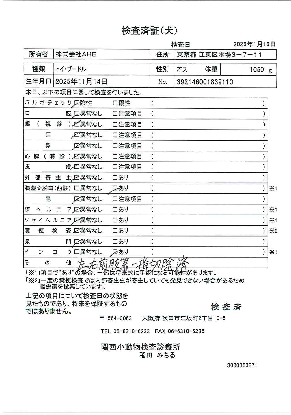 トイ・プードル