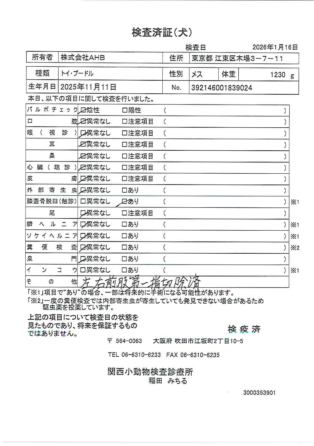 トイ・プードル