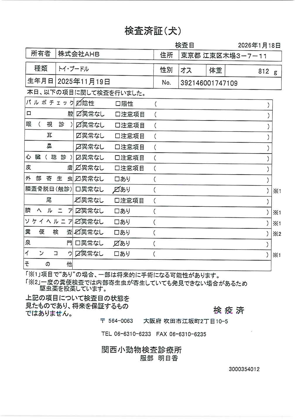 トイ・プードル