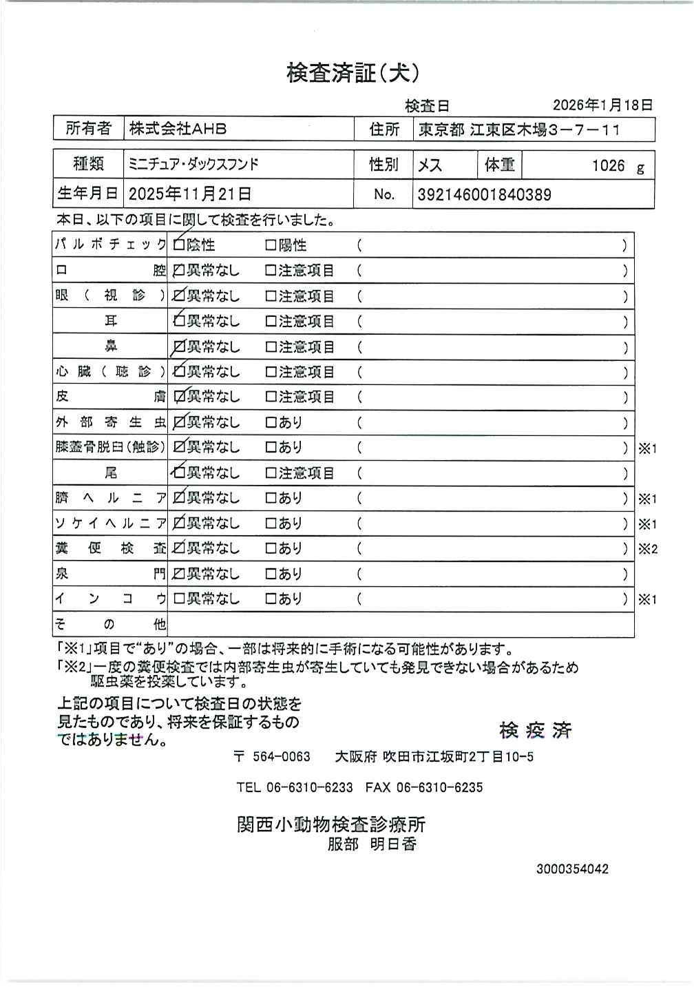 ミニチュア・ダックスフンド