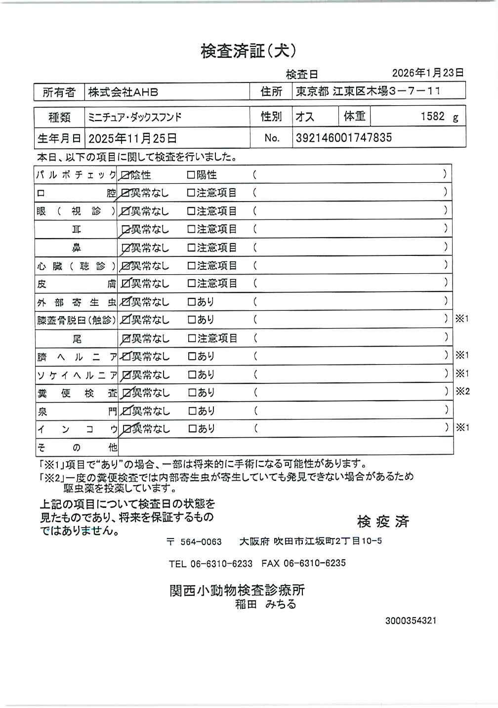 ミニチュア・ダックスフンド