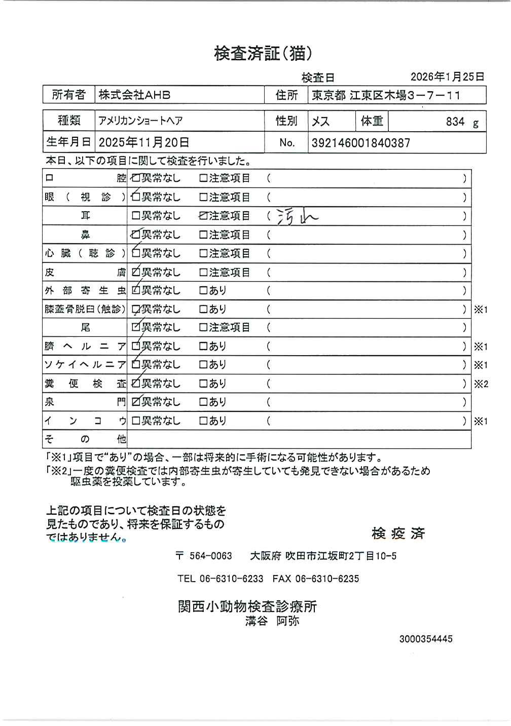 アメリカンショートヘア