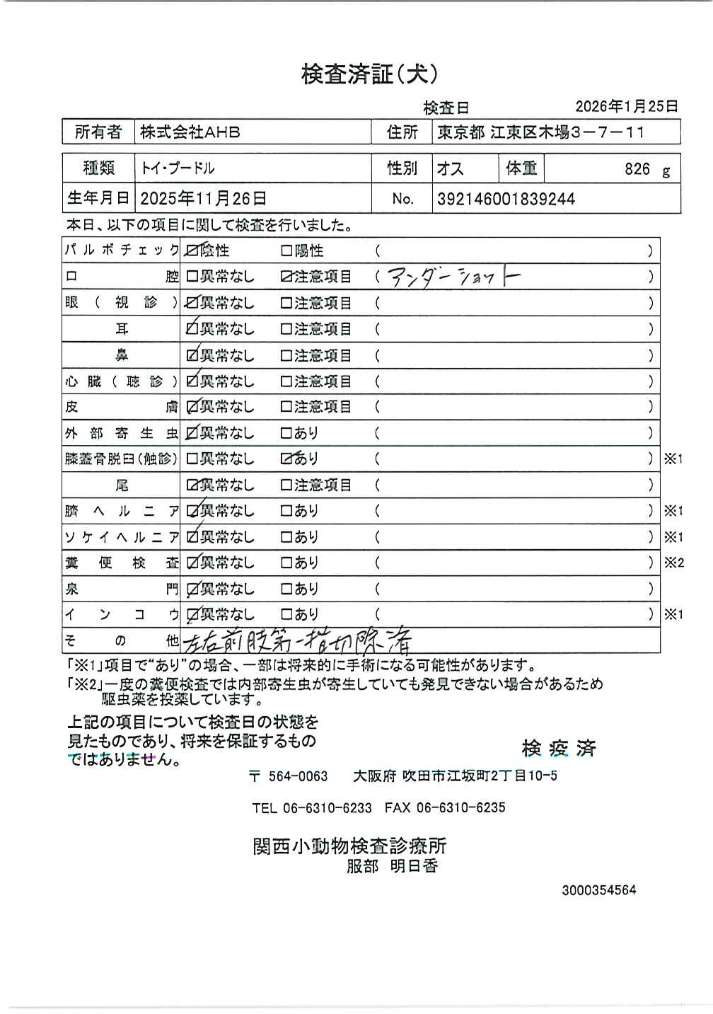 トイ・プードル