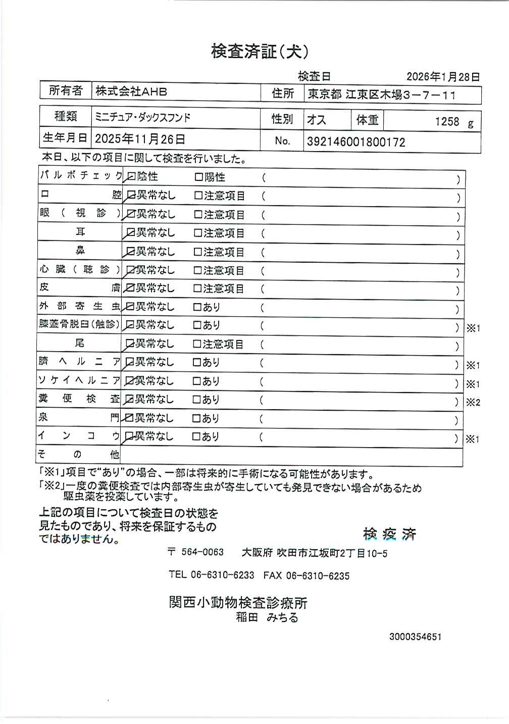 ミニチュア・ダックスフンド