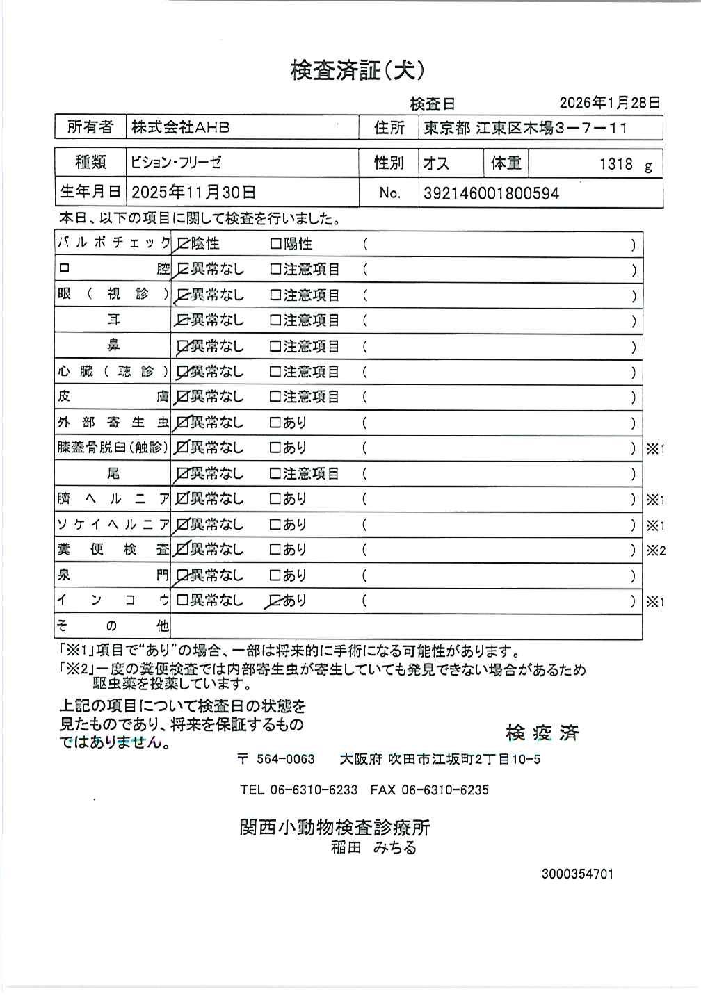 ビション・フリーゼ