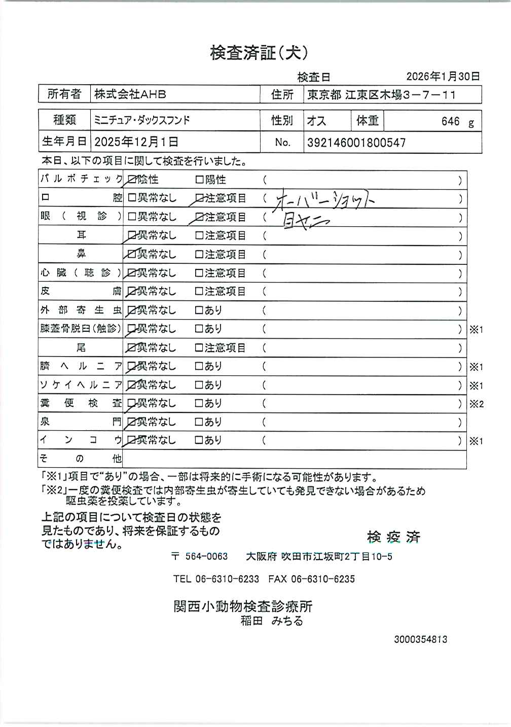ミニチュア・ダックスフンド