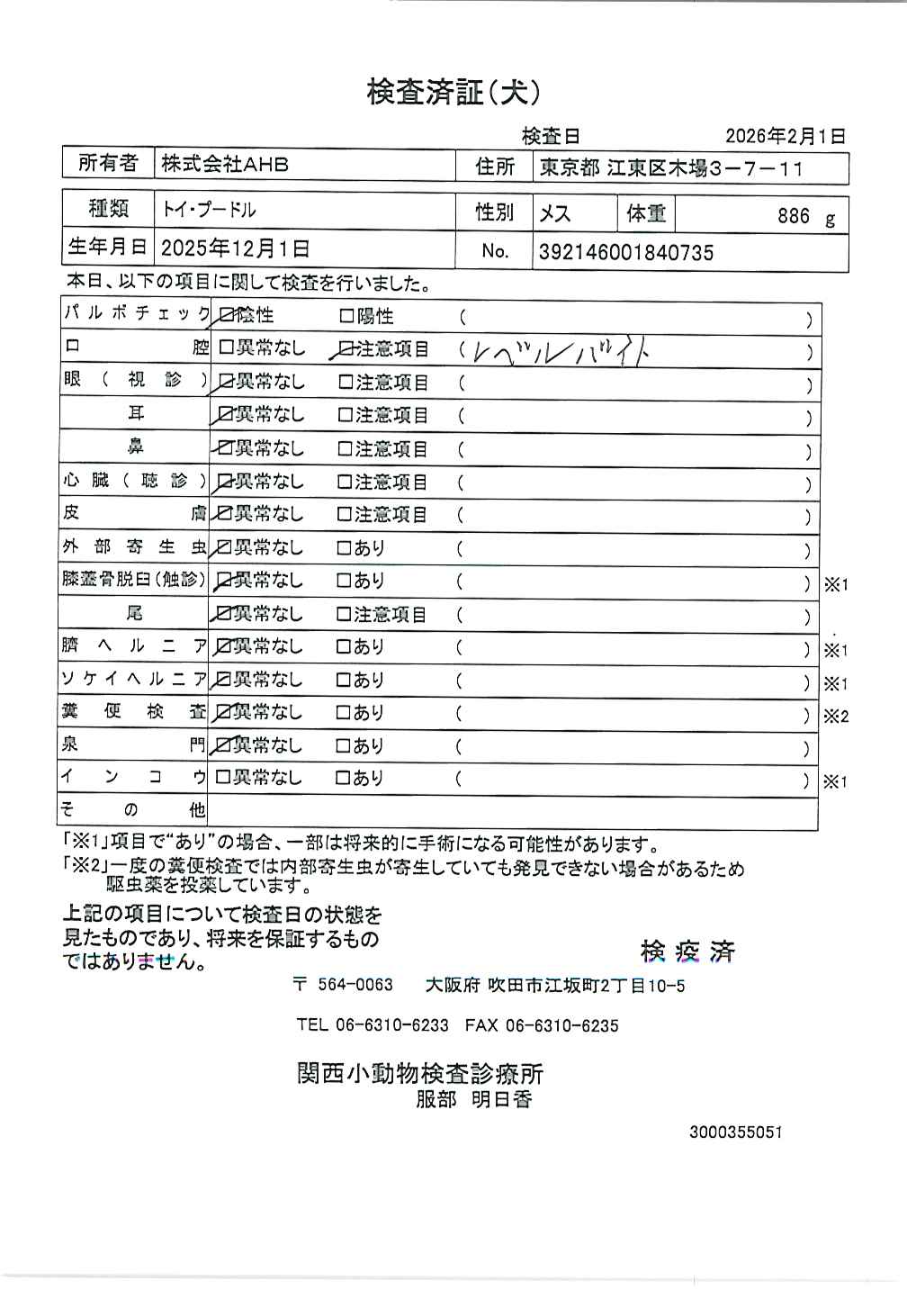 トイ・プードル