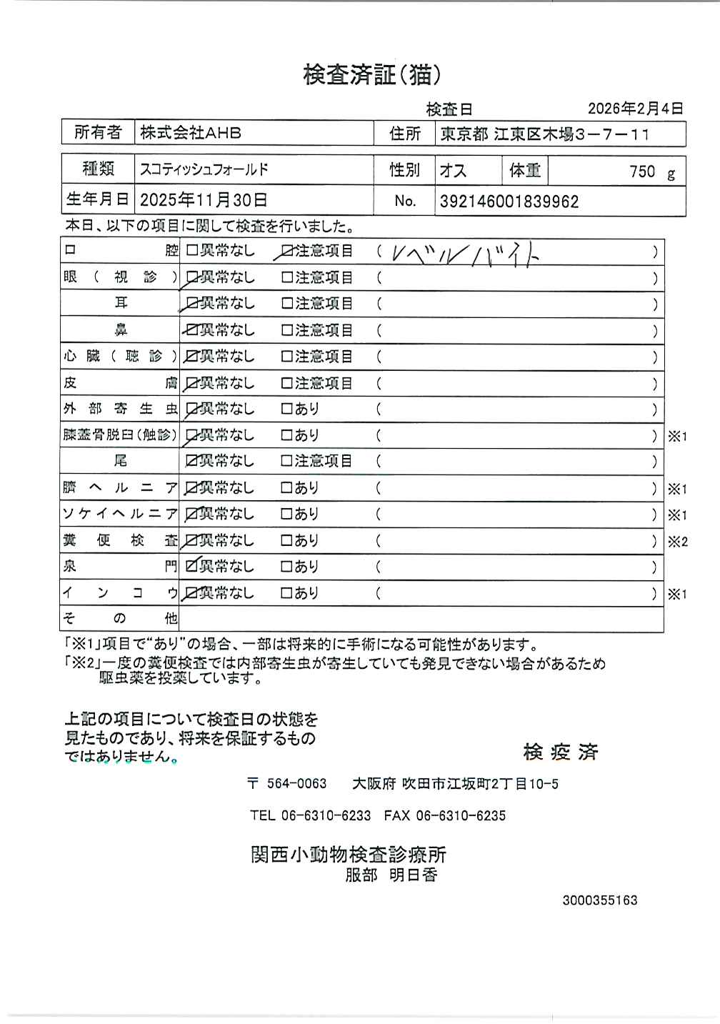 スコティッシュフォールド