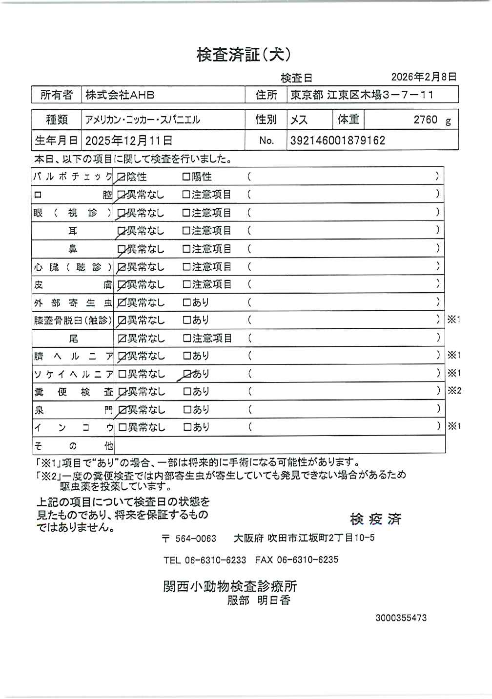 アメリカン・コッカー・スパニエル