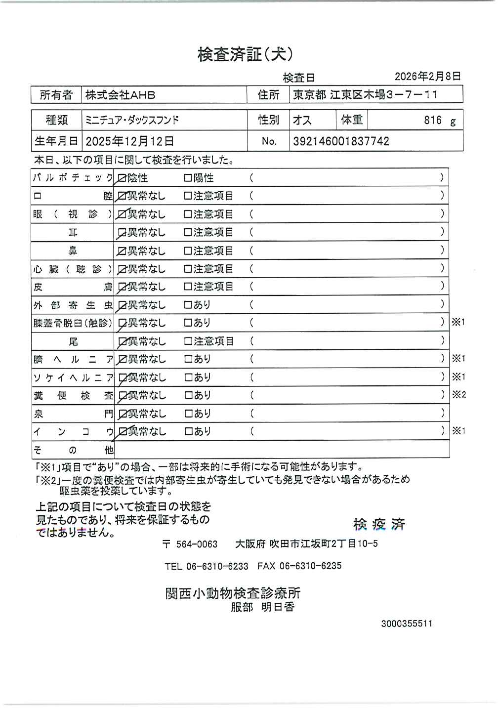 ミニチュア・ダックスフンド