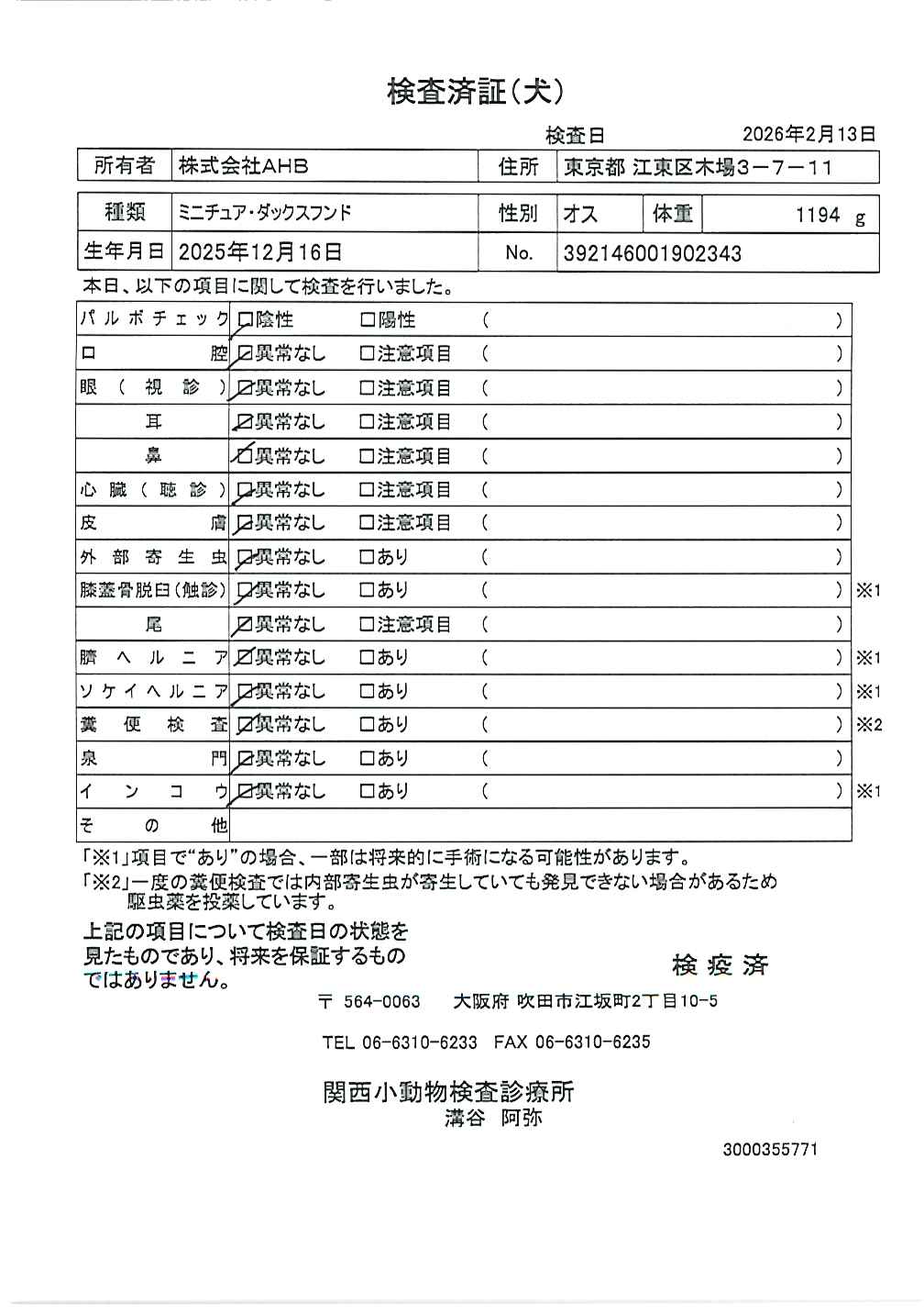 ミニチュア・ダックスフンド