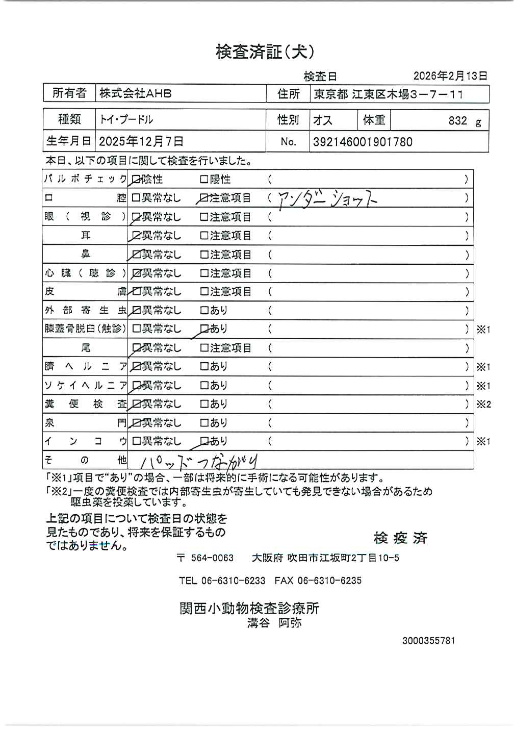 トイ・プードル
