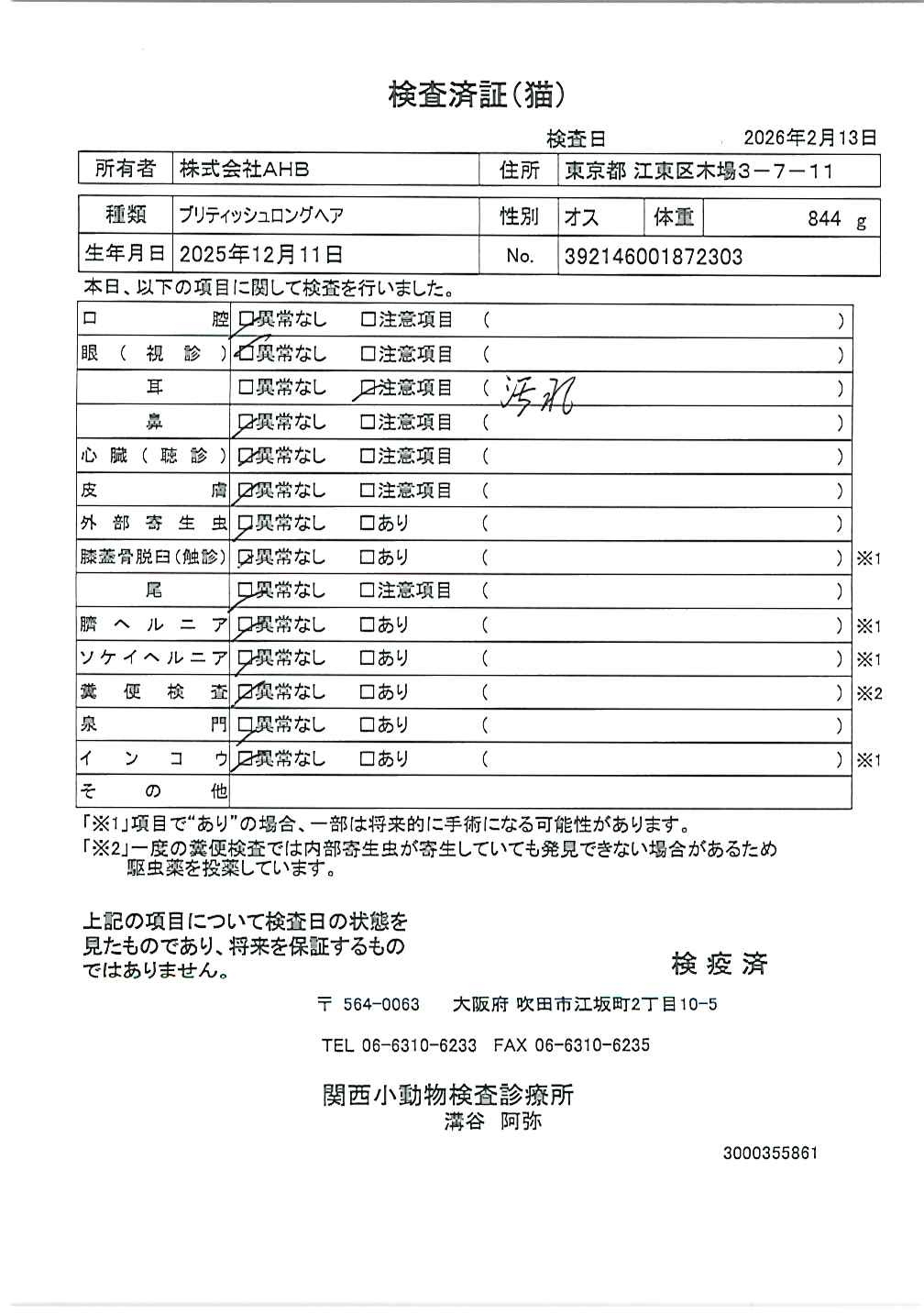 ブリティッシュロングヘア