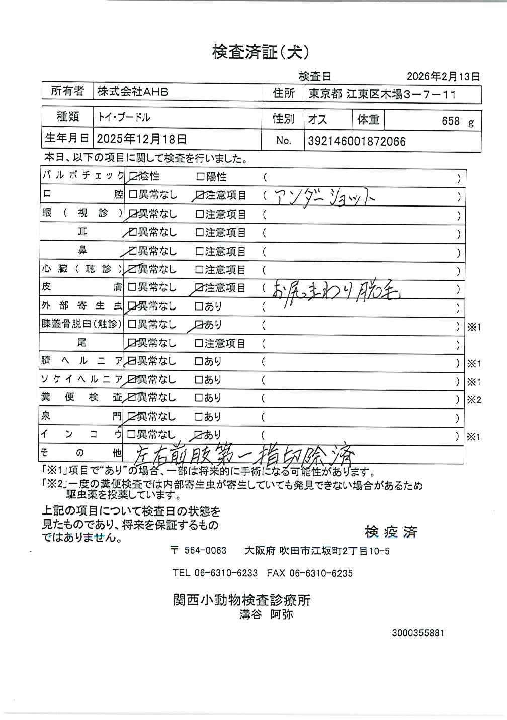 トイ・プードル