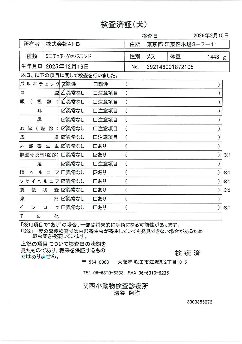 ミニチュア・ダックスフンド