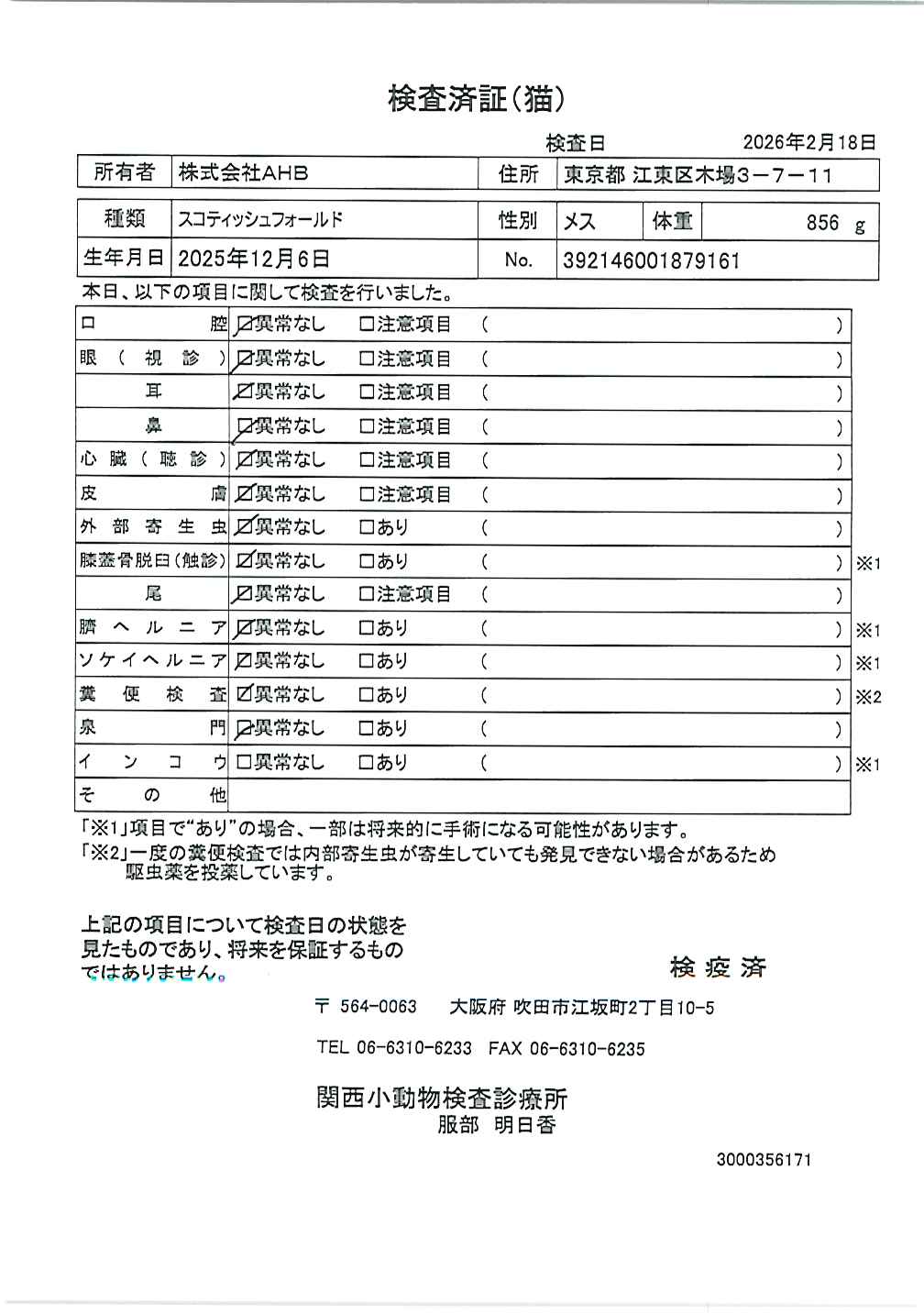 スコティッシュフォールド