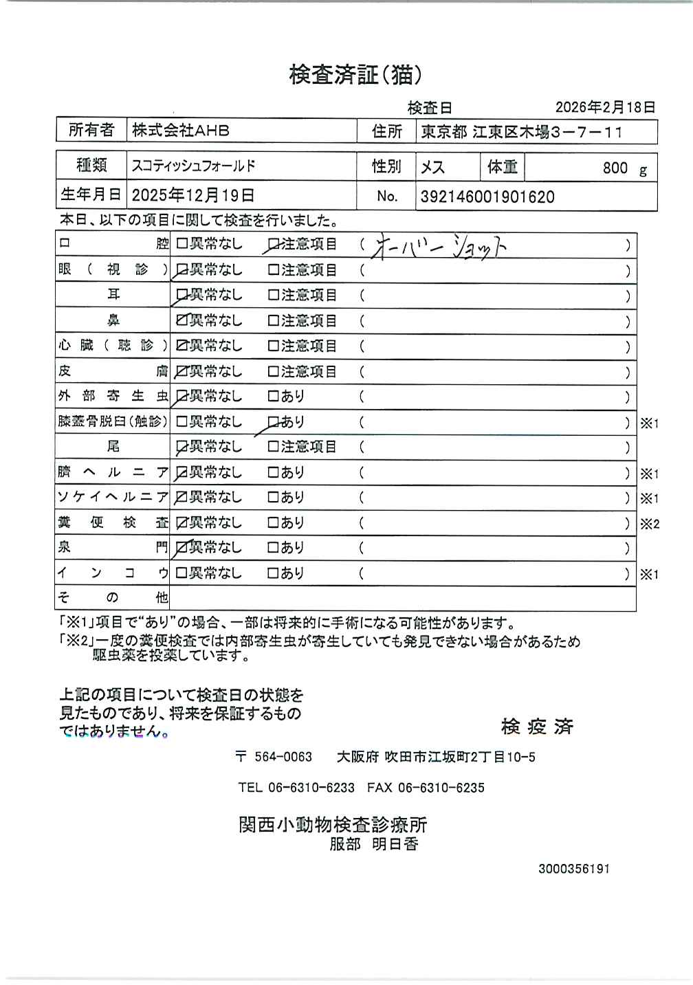 スコティッシュフォールド