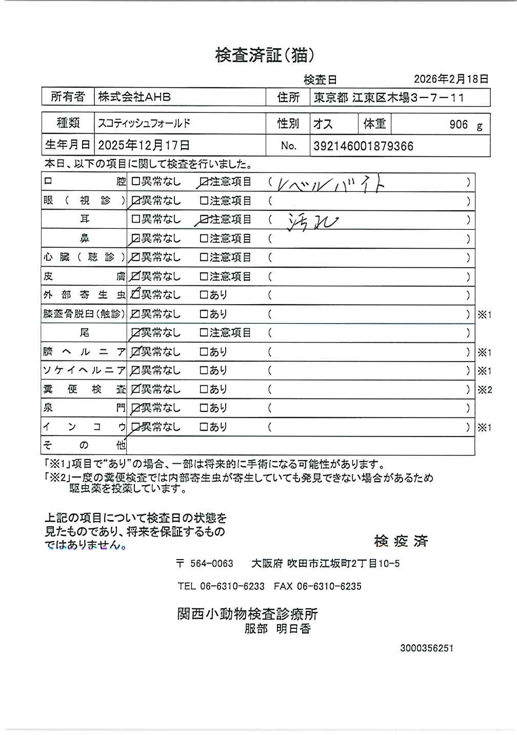 スコティッシュフォールド