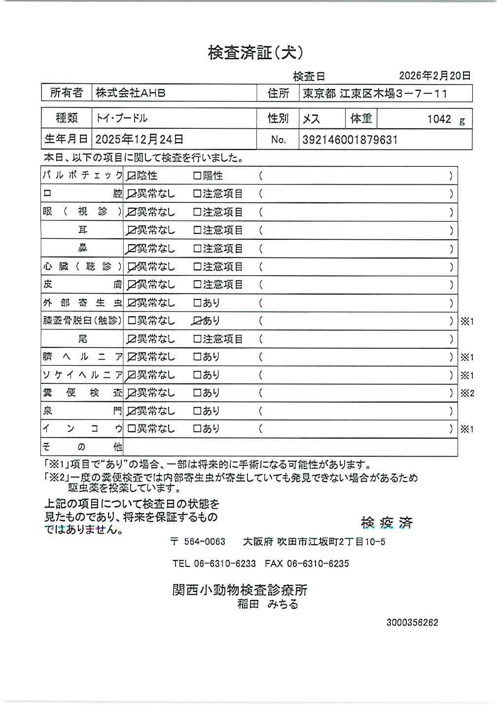 トイ・プードル