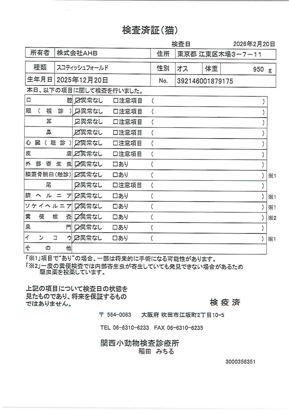 スコティッシュフォールド
