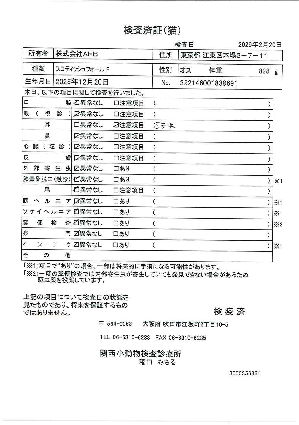 スコティッシュフォールド
