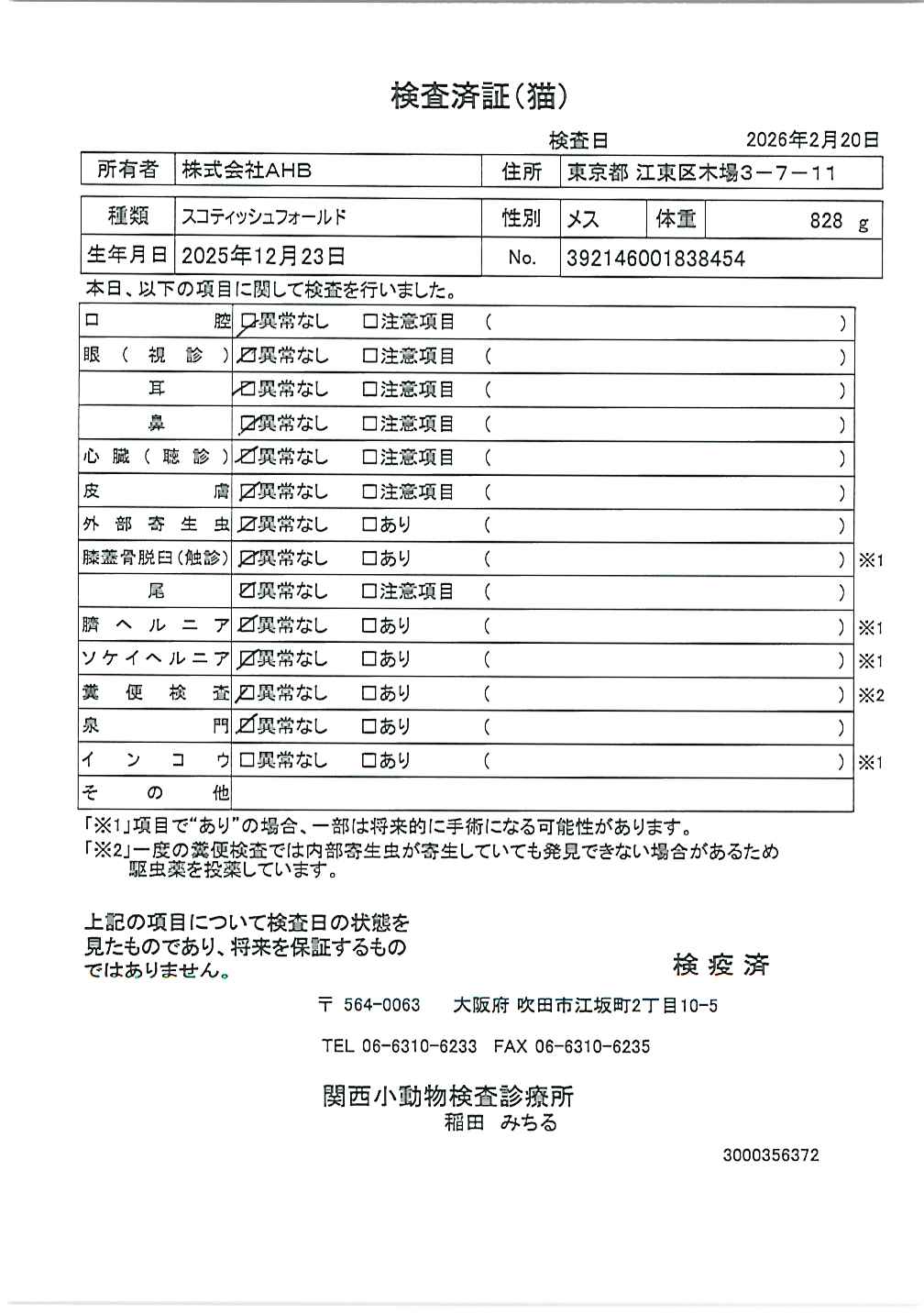 スコティッシュフォールド