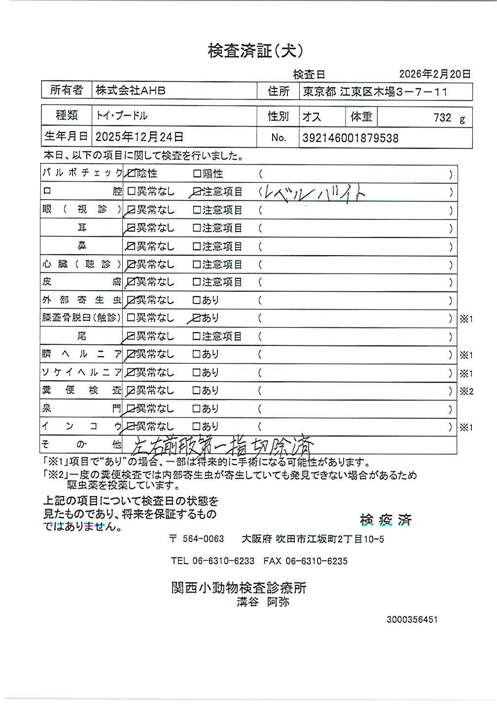 トイ・プードル