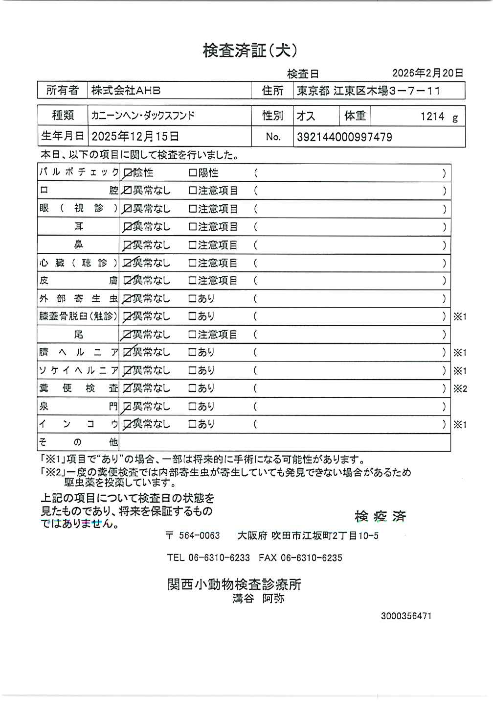 カニーンヘン・ダックスフンド