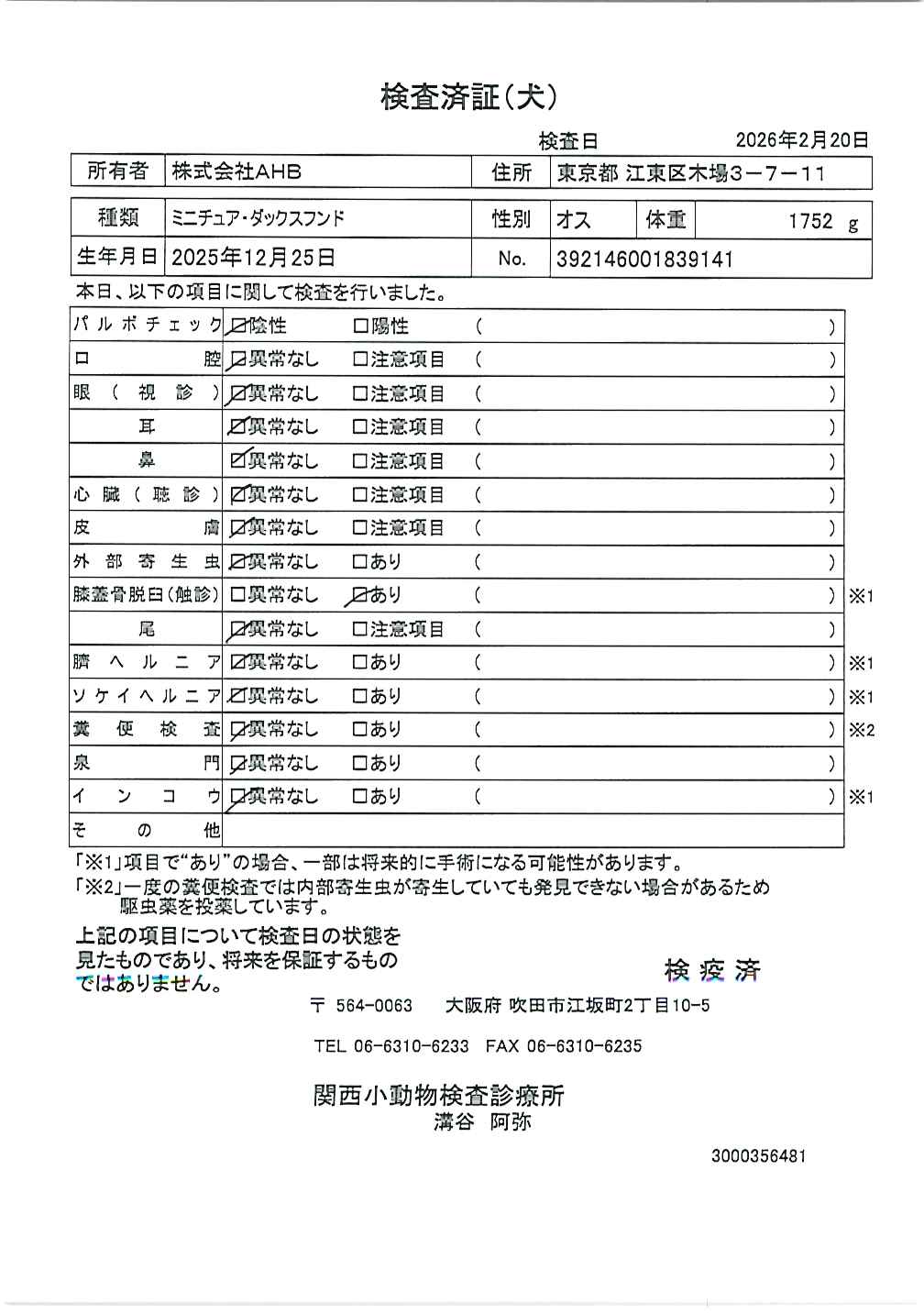 ミニチュア・ダックスフンド