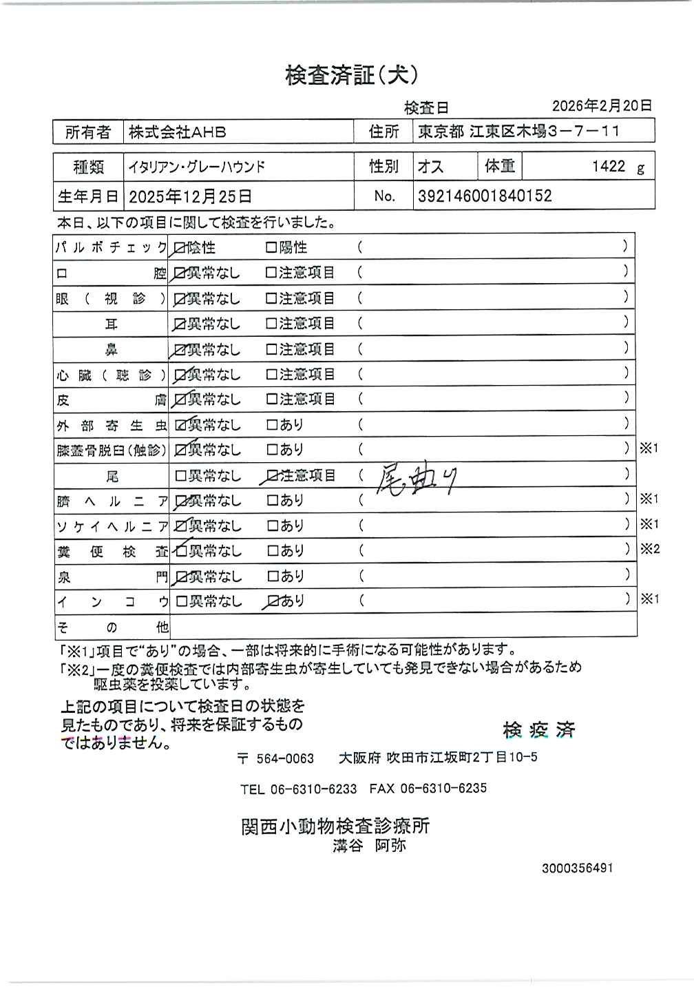 イタリアン・グレーハウンド
