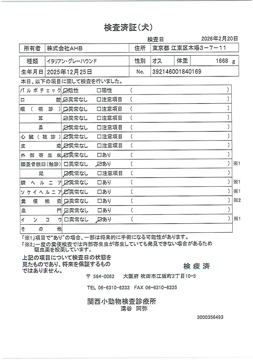 イタリアン・グレーハウンド