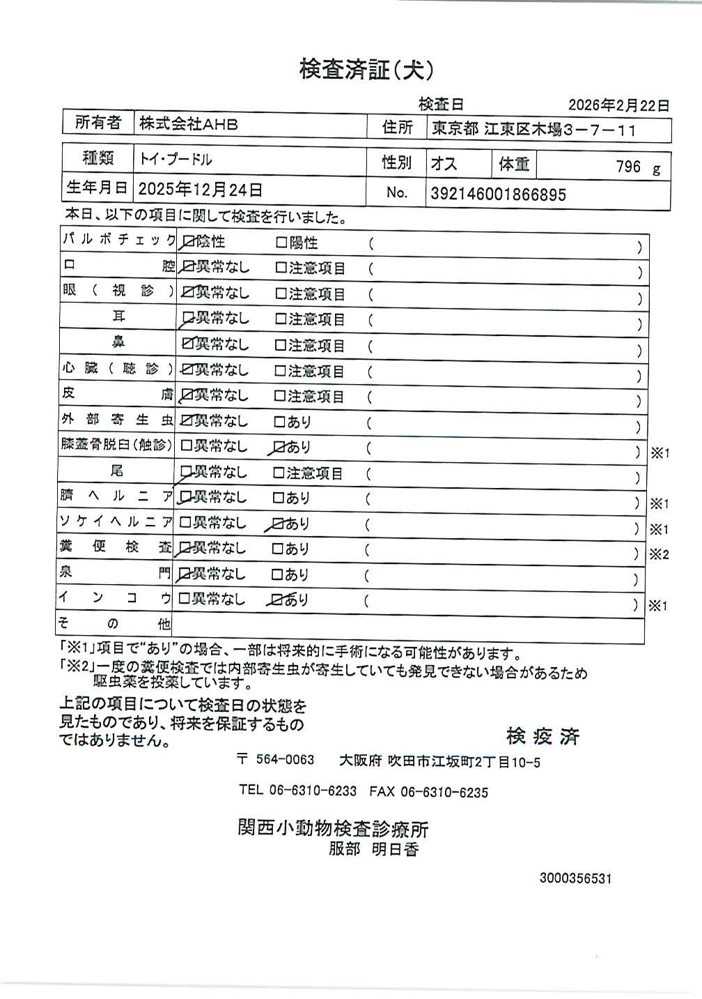 トイ・プードル